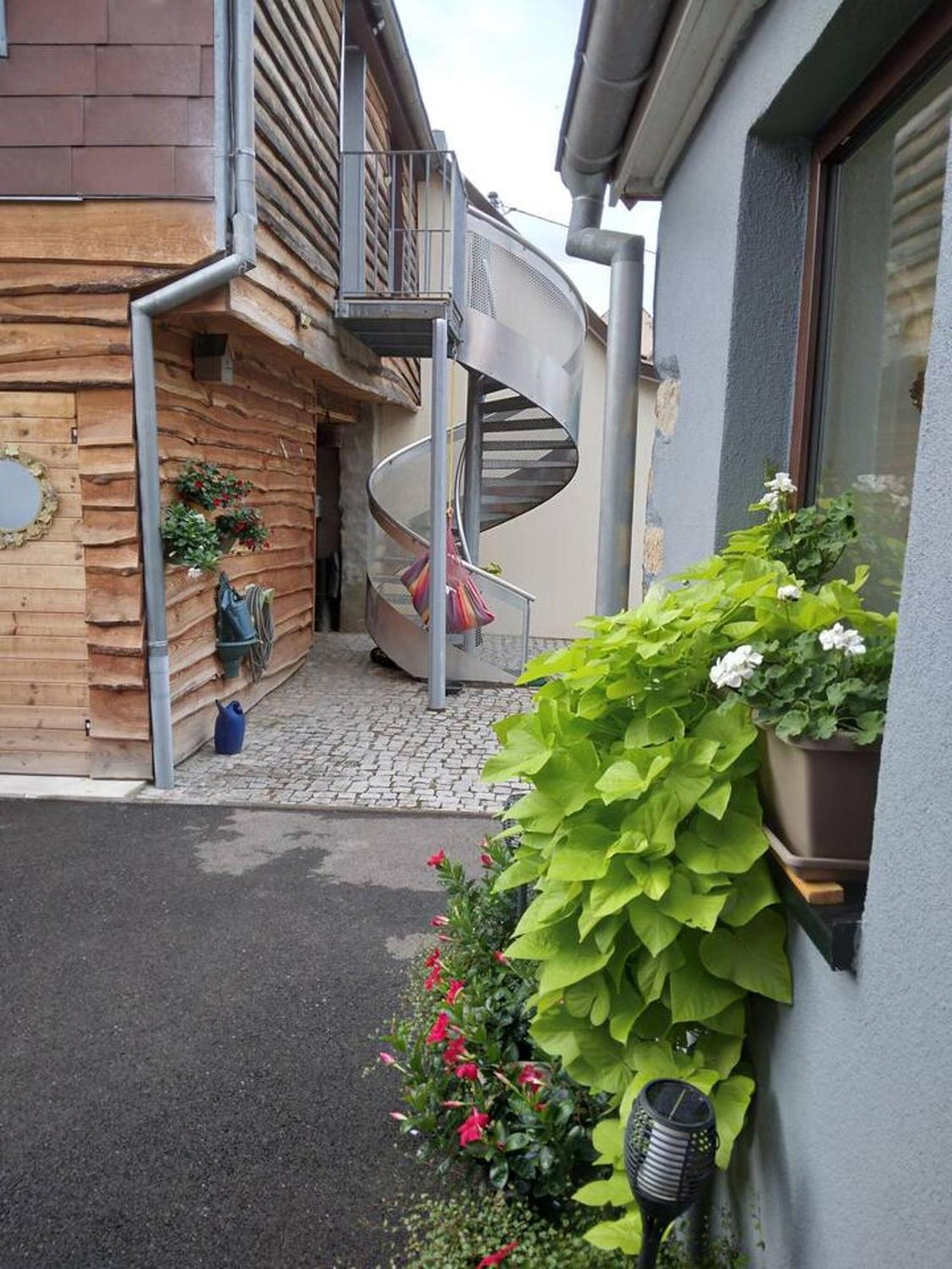 Appartement Cosy Wintzenheim + Terrasse ภายนอก รูปภาพ
